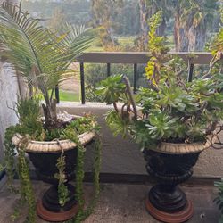 2 Large Ceramic Plant Pots