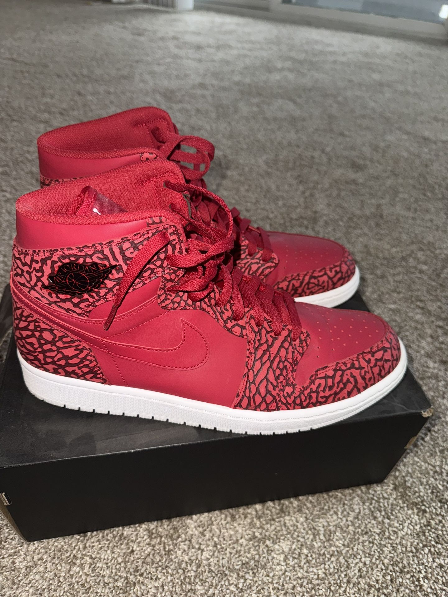 Jordan 1 Retro High Size 12