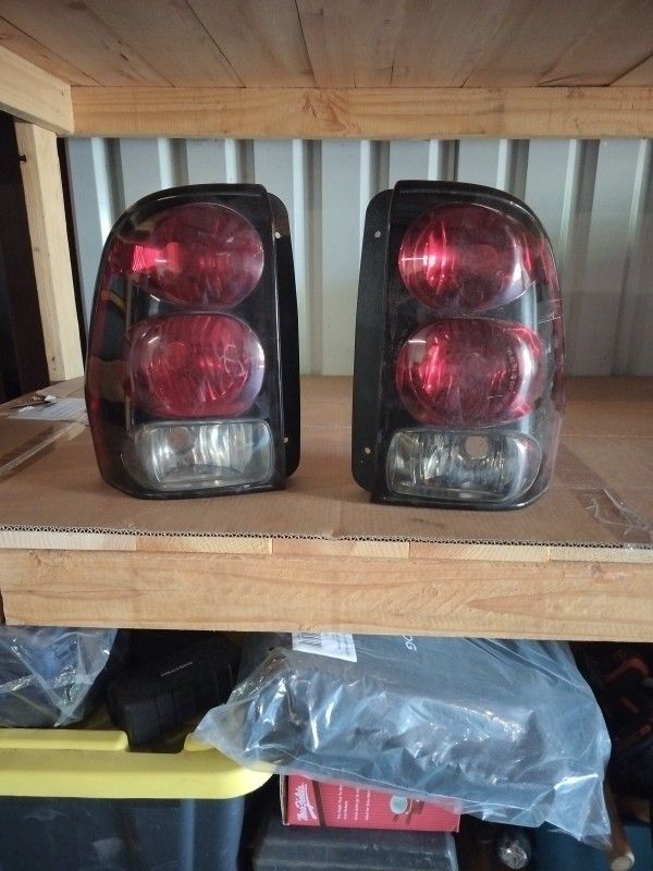 For 2008 Chevy Trailblazer,Tail Light