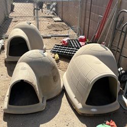 Dog houses