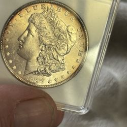 Morgan Silver Dollar Coin ANACS Slab 