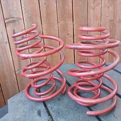 Lowering Springs