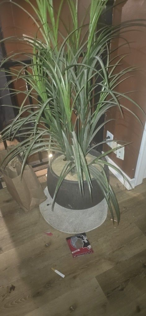 Fake Plant