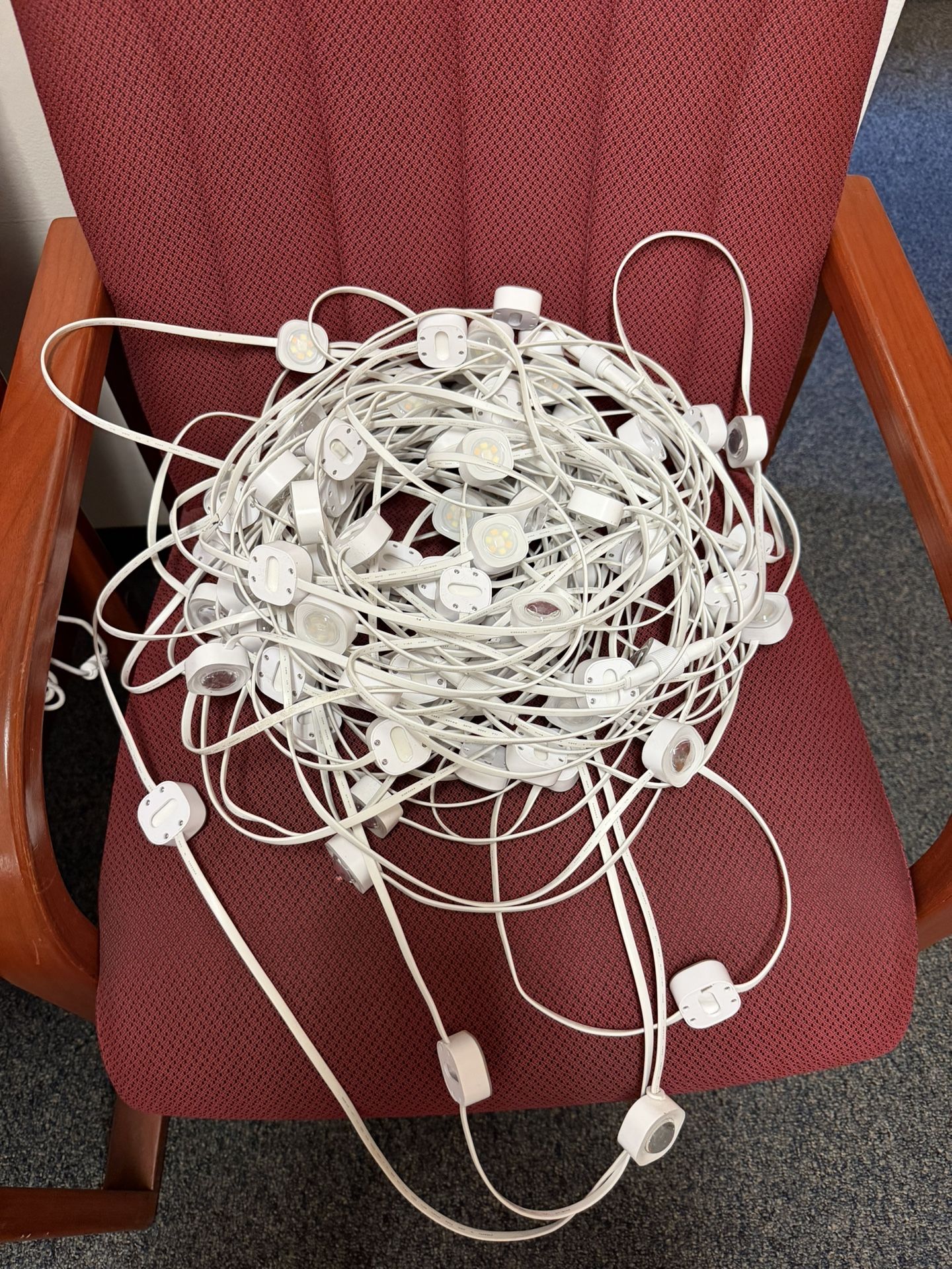 Govee Permanent Outdoor Light Pro