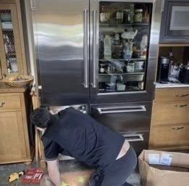 Refrigerator /Repair