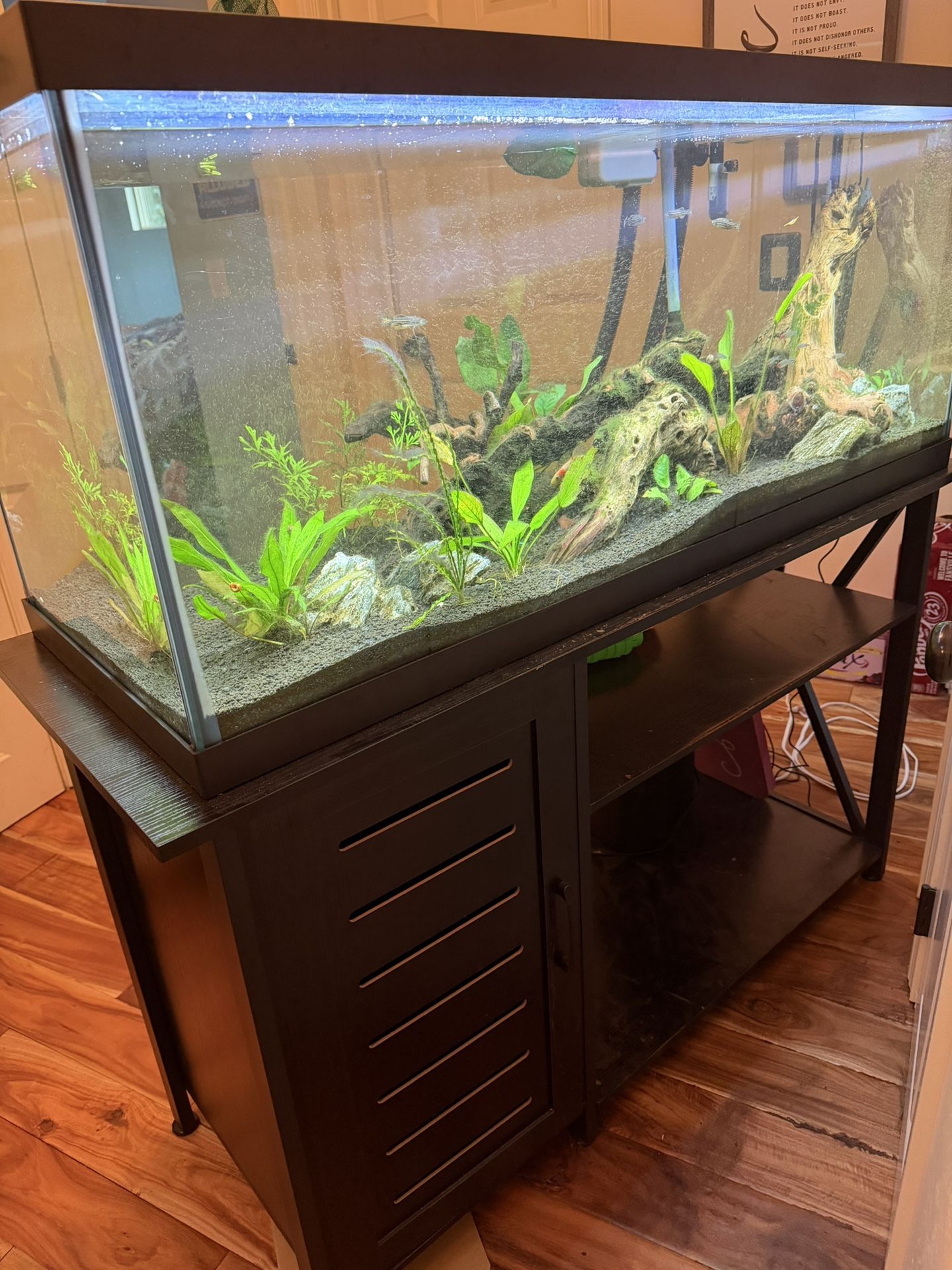 75 Gallon Fish Tank