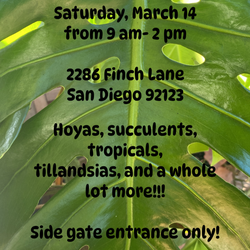 Plants SALE!!!