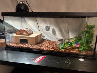 Snake enclosure