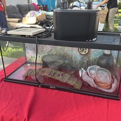 Reptile cage w light and decor