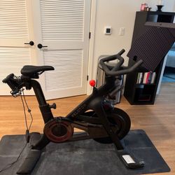 Peloton Bike Plus 2020, ~374 Rides, Portland