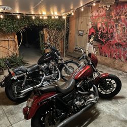 FXR Seat And Sissy Bar