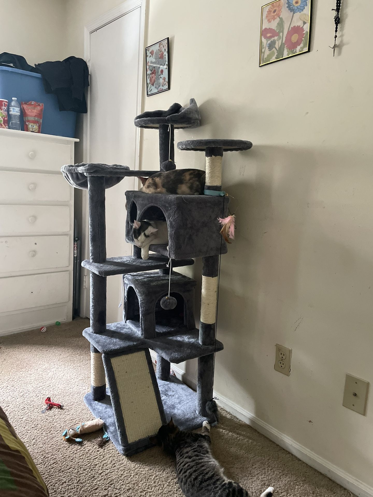 57 inch cat tree