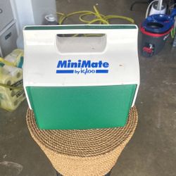 Mini Mate Cooler
