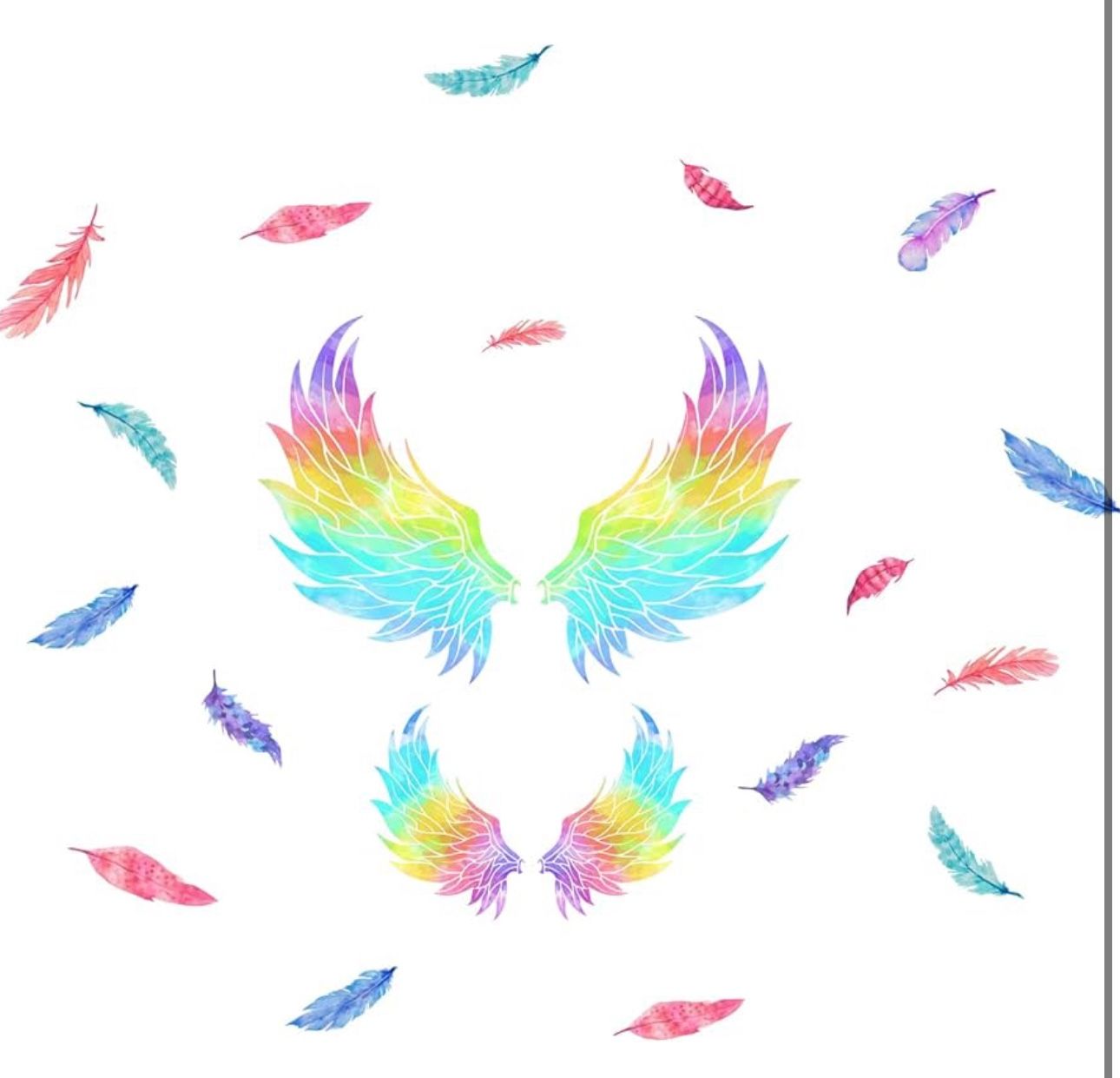 Feather Wings Wall Decals - Brand New