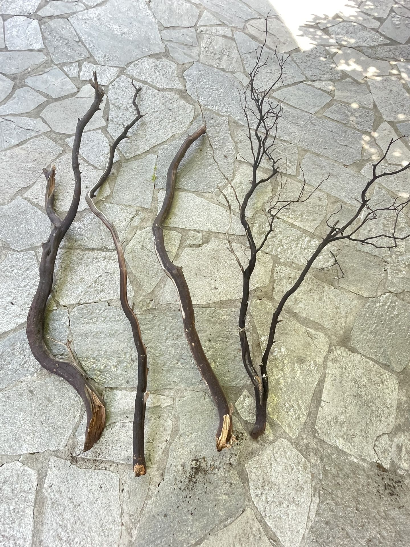 Manzanita Trees Shrubs & Branches