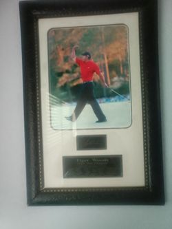Frame. Tiger woods