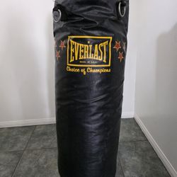 Everlast Punching Bag