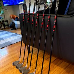 Taylormade Stealth Irons + Bonus Qi10 | Great Shape, Ventus Shafts