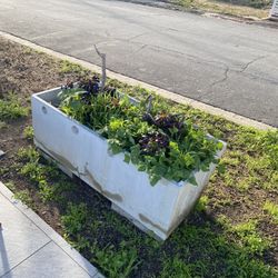 Planter