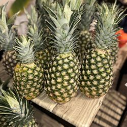 Homemade Crystallized Fruits