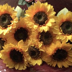 10 USED SUND FLOWERS USED ONES EXCELLENT CONDITION 