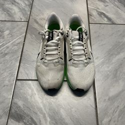 Size 11 Men’s Nike Pegasus 40