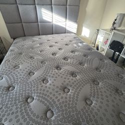 Brand New Mattress And Bedframe (never Used ) 