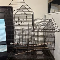 Bird Cage