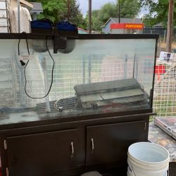 55” Tall Fish Tank 