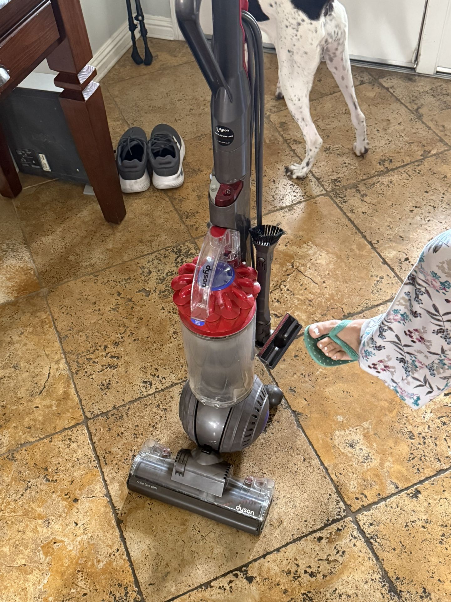 Dyson Animal Vacuum 