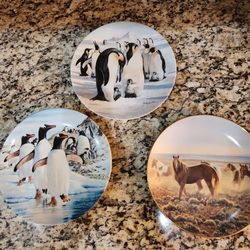 7 Wildlife Collectible Plates.  One Low Price 