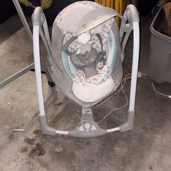 Ingenuity Swing 2 Seat