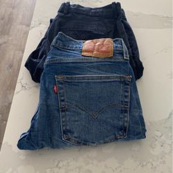 Pants 