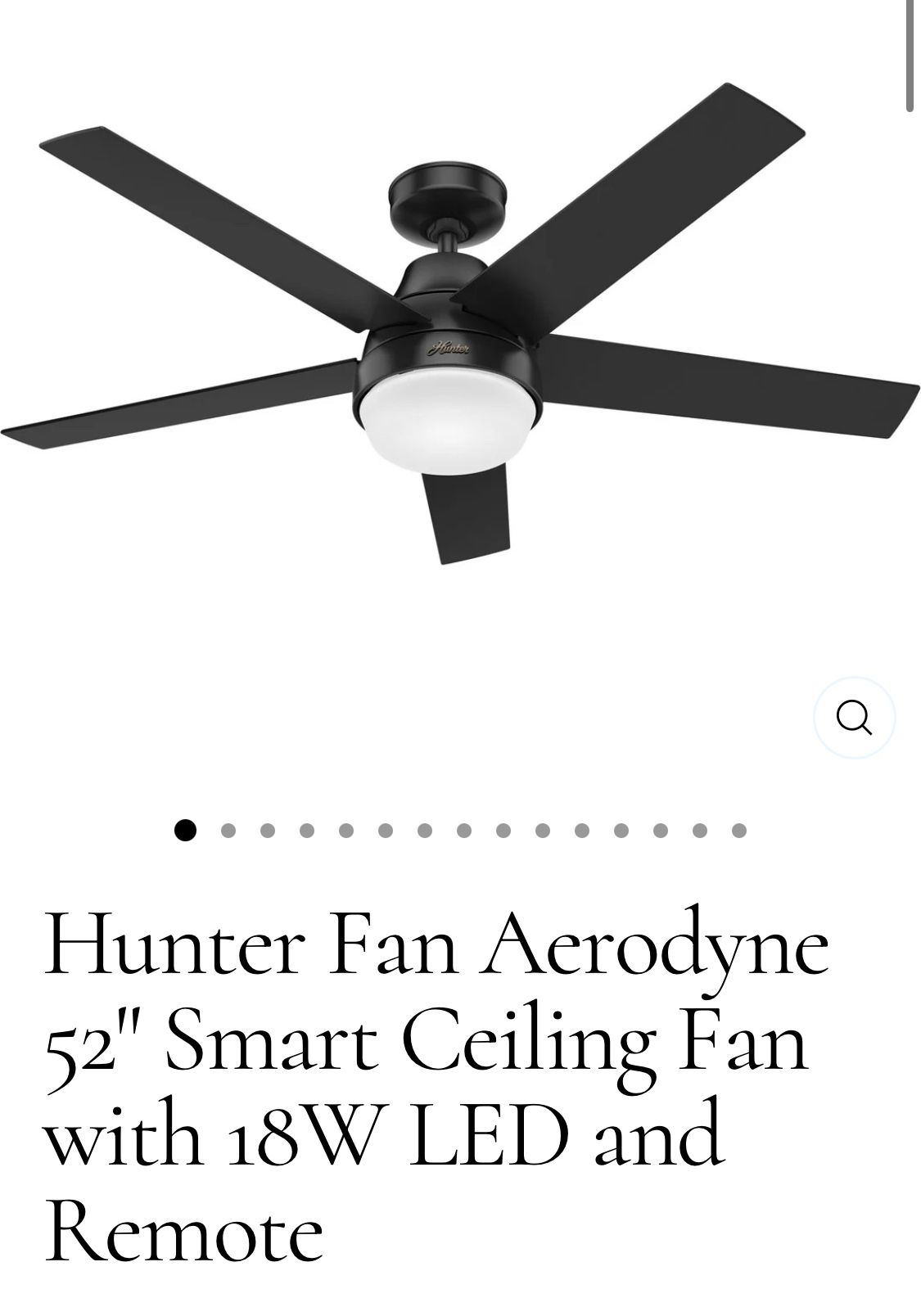 Hunter Ceiling Fan