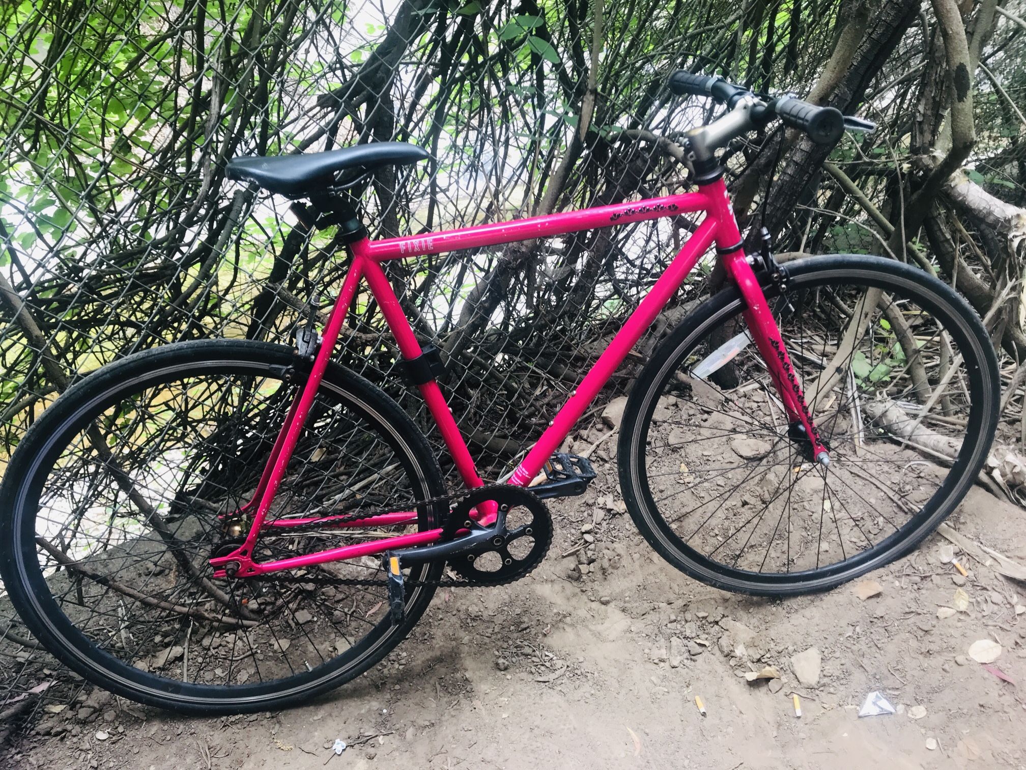 Road Bike