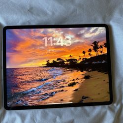 iPad Pro 12.9 inch
