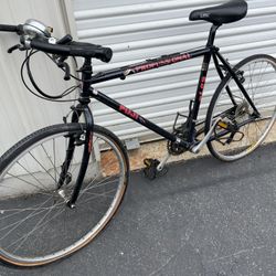 Vintage Fuji Mountain Bike $40