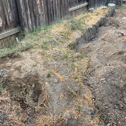 Free Dirt