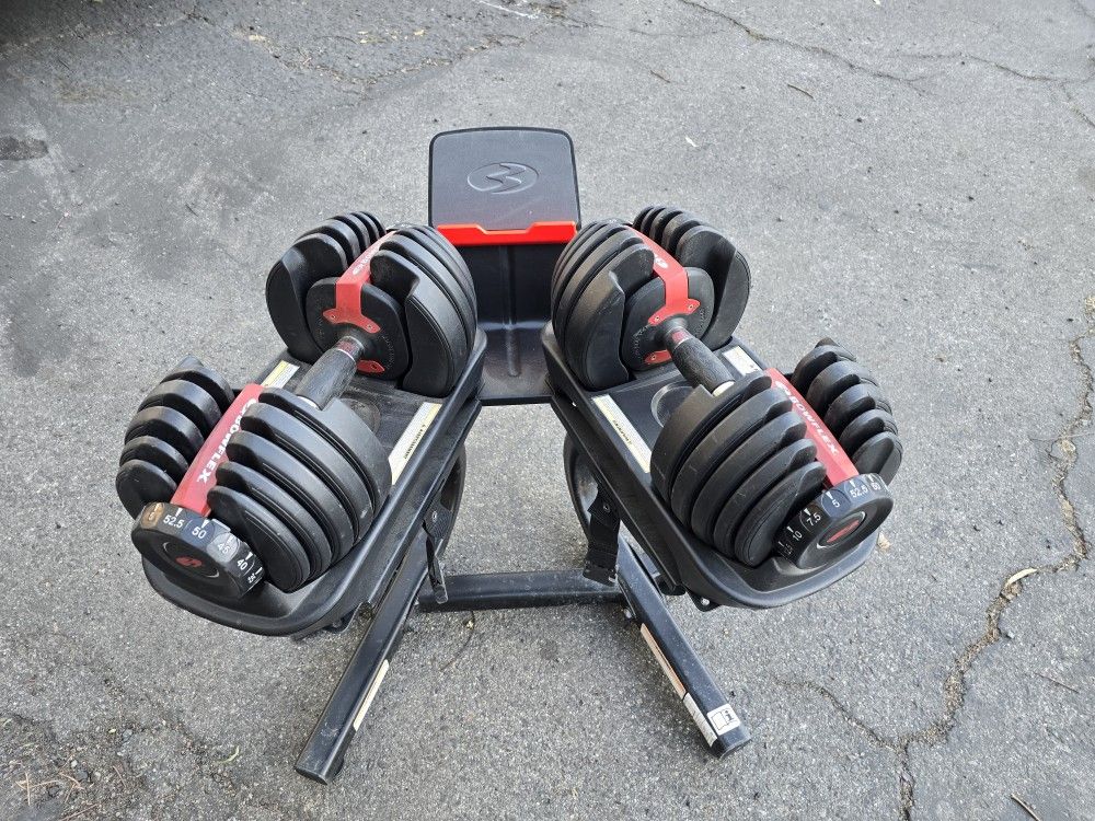 Bowflex Adjustable Dumbells 52.5 Lbs, Gym Equipment, Weights
