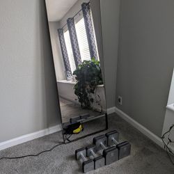 Workout Mirror With Weights