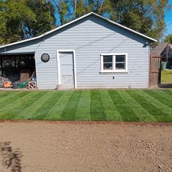 New Grass Installed 
