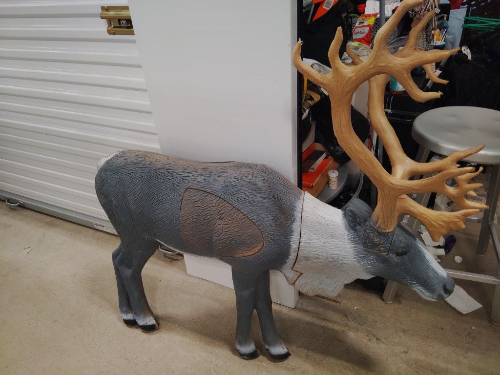 Deer ๐ฏ Target Only $100