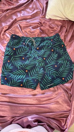 swim shorts