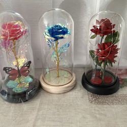 I Have These With Lights (Roses )