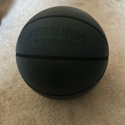 Stealth Hoops, Silent Basketball