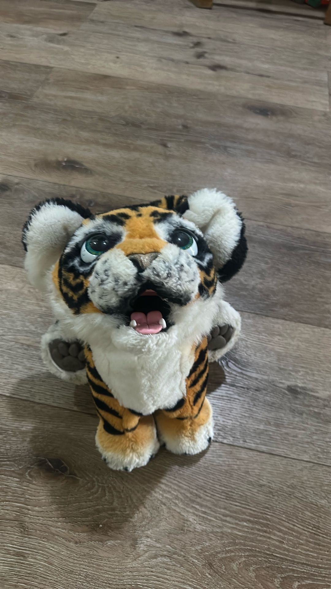 Stuffed Animal