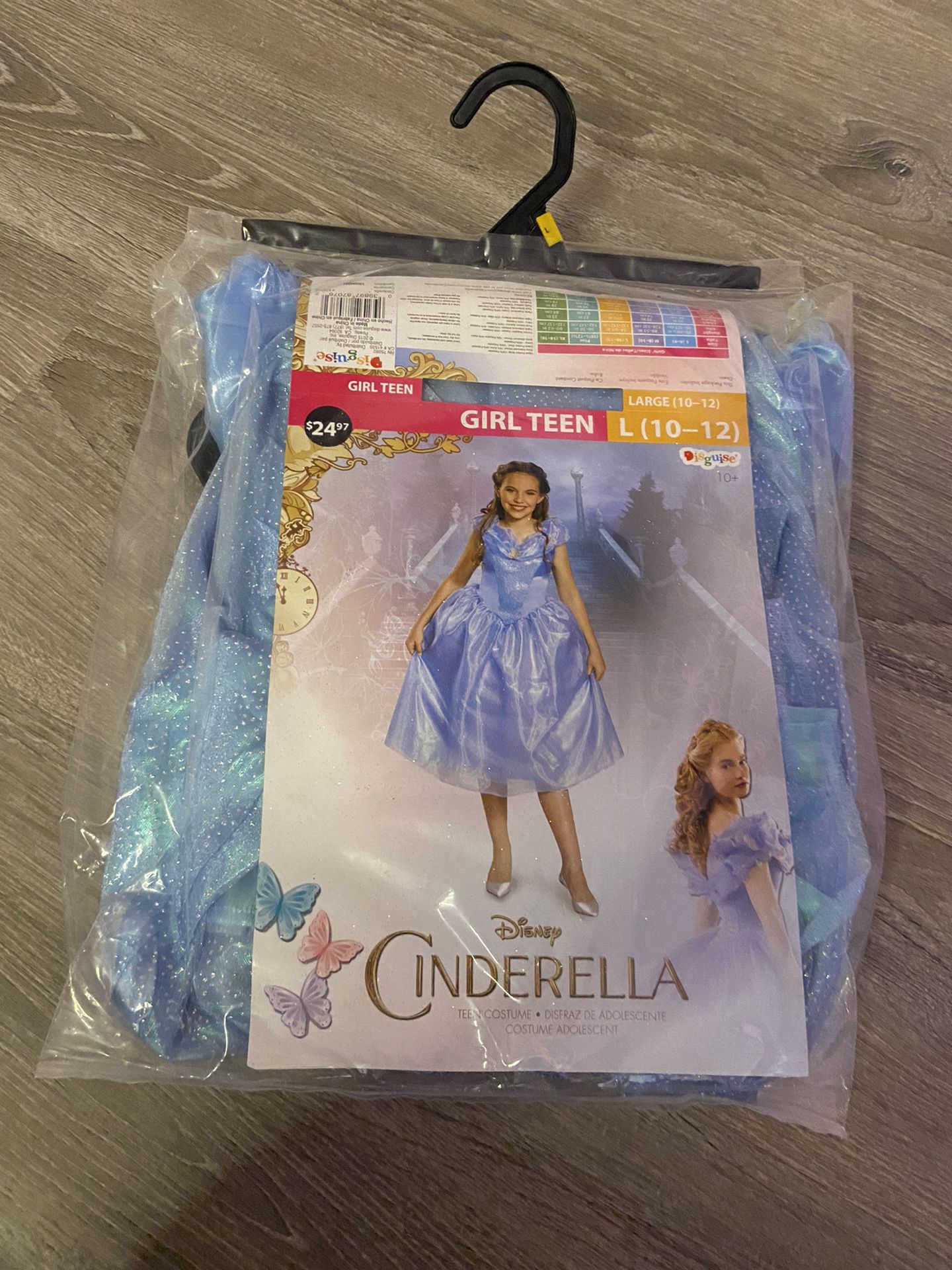 Disney Cinderella costume
