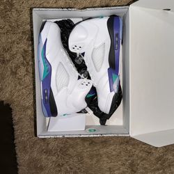 Jordan 5 Retro Grape 2025) Size 10.5 Men 