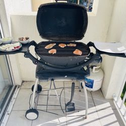 Weber Portable Grill & BBQ