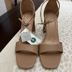 Women’s High Heels 